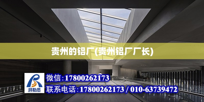 貴州的鋁廠(貴州鋁廠廠長) 鋼結(jié)構(gòu)網(wǎng)架施工