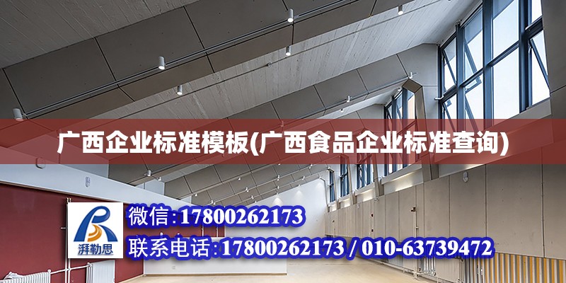 廣西企業(yè)標準模板(廣西食品企業(yè)標準查詢)