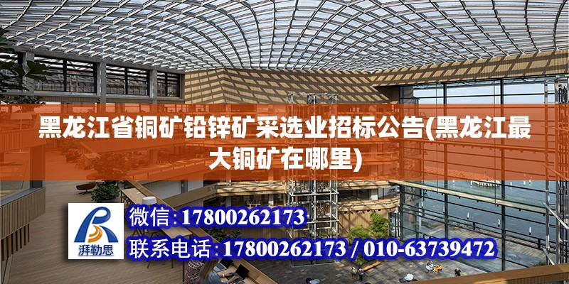 黑龍江省銅礦鉛鋅礦采選業(yè)招標(biāo)公告(黑龍江最大銅礦在哪里) 建筑消防設(shè)計(jì)