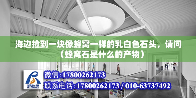 海邊撿到一塊像蜂窩一樣的乳白色石頭，請(qǐng)問(wèn)（蜂窩石是什么的產(chǎn)物）