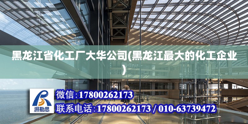 黑龍江省化工廠大華公司(黑龍江最大的化工企業(yè)) 結(jié)構(gòu)工業(yè)裝備施工