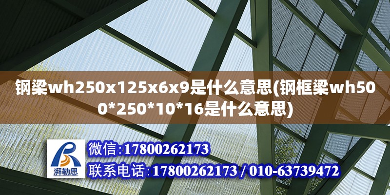 鋼梁wh250x125x6x9是什么意思(鋼框梁wh500*250*10*16是什么意思)