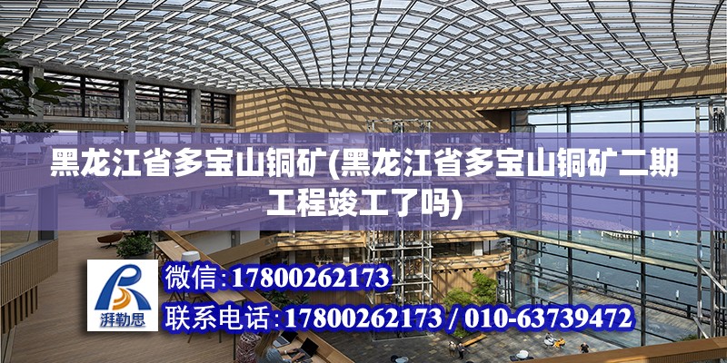 黑龍江省多寶山銅礦(黑龍江省多寶山銅礦二期工程竣工了嗎) 建筑方案設計