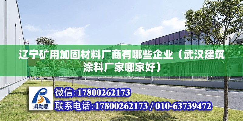 遼寧礦用加固材料廠商有哪些企業(yè)（武漢建筑涂料廠家哪家好）