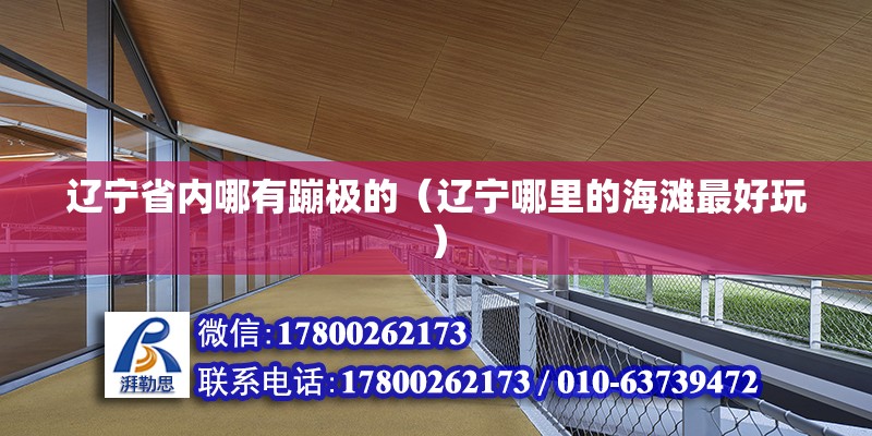 遼寧省內(nèi)哪有蹦極的（遼寧哪里的海灘最好玩） 北京網(wǎng)架設(shè)計(jì)