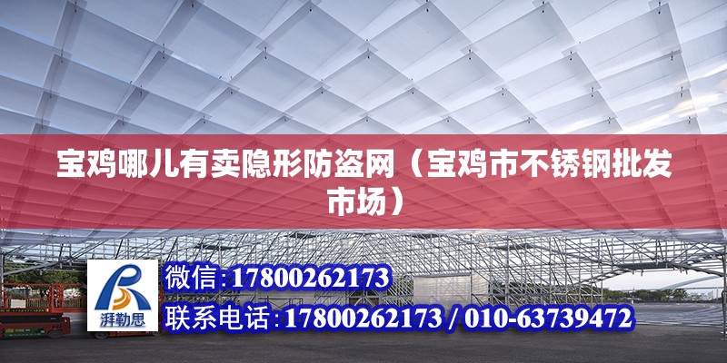 寶雞哪兒有賣隱形防盜網(wǎng)（寶雞市不銹鋼批發(fā)市場）