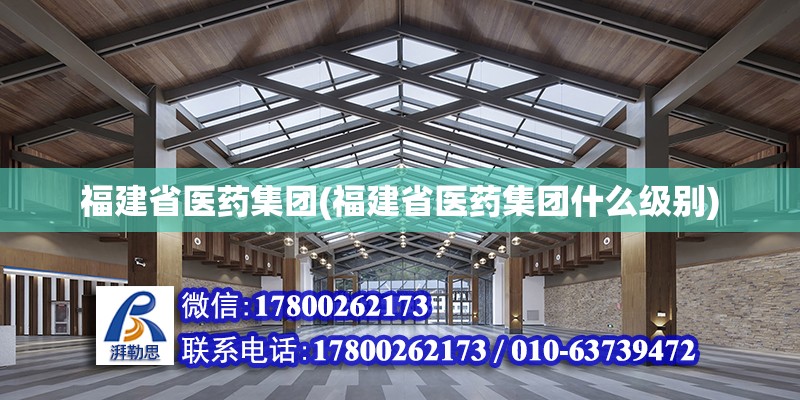 福建省醫(yī)藥集團(福建省醫(yī)藥集團什么級別) 鋼結(jié)構(gòu)網(wǎng)架施工