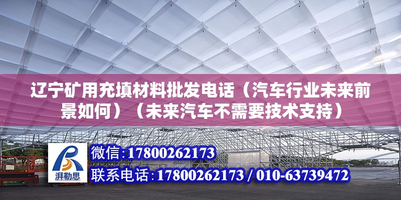 遼寧礦用充填材料批發(fā)電話（汽車行業(yè)未來前景如何）（未來汽車不需要技術支持）