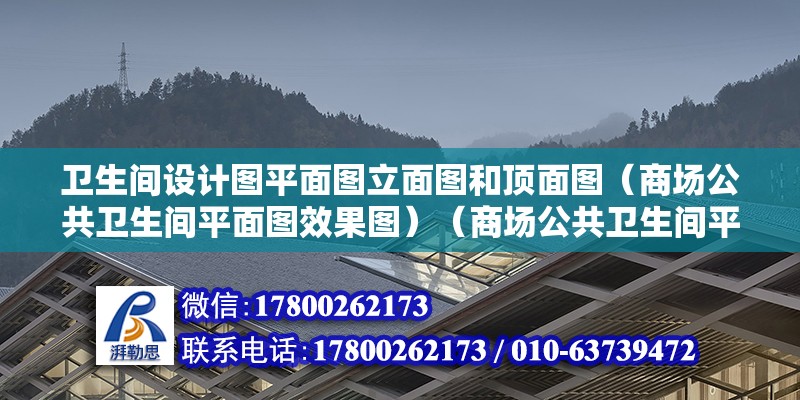 衛(wèi)生間設(shè)計(jì)圖平面圖立面圖和頂面圖（商場(chǎng)公共衛(wèi)生間平面圖效果圖）（商場(chǎng)公共衛(wèi)生間平面圖效果圖）