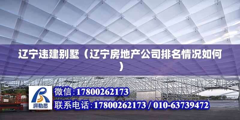 遼寧違建別墅（遼寧房地產(chǎn)公司排名情況如何） 鋼結(jié)構(gòu)蹦極設(shè)計