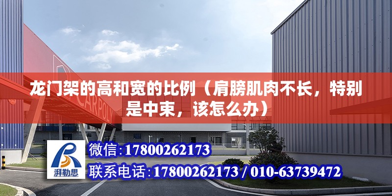 龍門架的高和寬的比例（肩膀肌肉不長，特別是中束，該怎么辦） 結構工業(yè)鋼結構設計