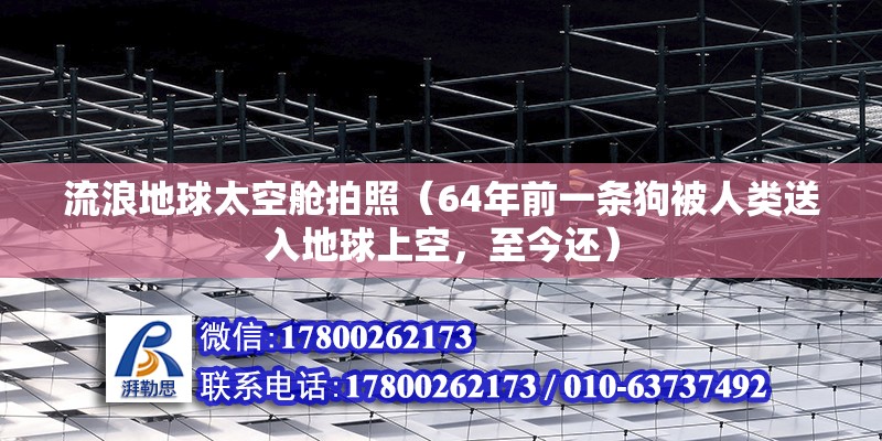 流浪地球太空艙拍照（64年前一條狗被人類送入地球上空，至今還）