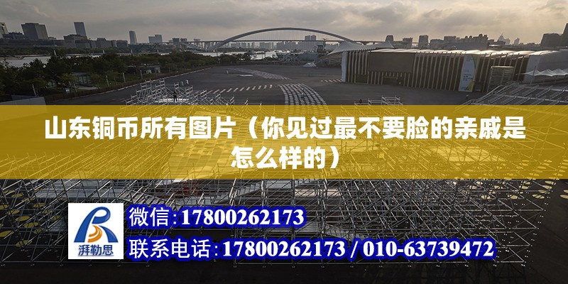 山東銅幣所有圖片（你見(jiàn)過(guò)最不要臉的親戚是怎么樣的） 鋼結(jié)構(gòu)蹦極施工