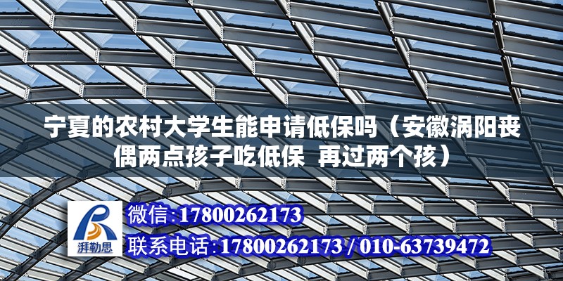 寧夏的農(nóng)村大學生能申請低保嗎（安徽渦陽喪偶兩點孩子吃低保  再過兩個孩） 全國鋼結構廠