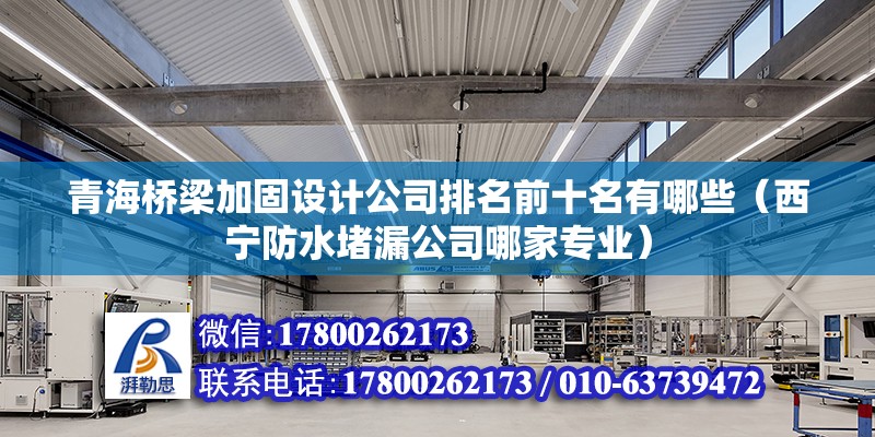 青海橋梁加固設計公司排名前十名有哪些（西寧防水堵漏公司哪家專業(yè)）