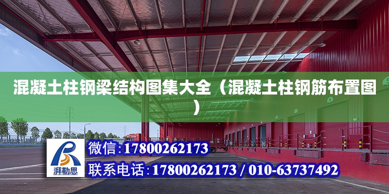 混凝土柱鋼梁結(jié)構(gòu)圖集大全（混凝土柱鋼筋布置圖）