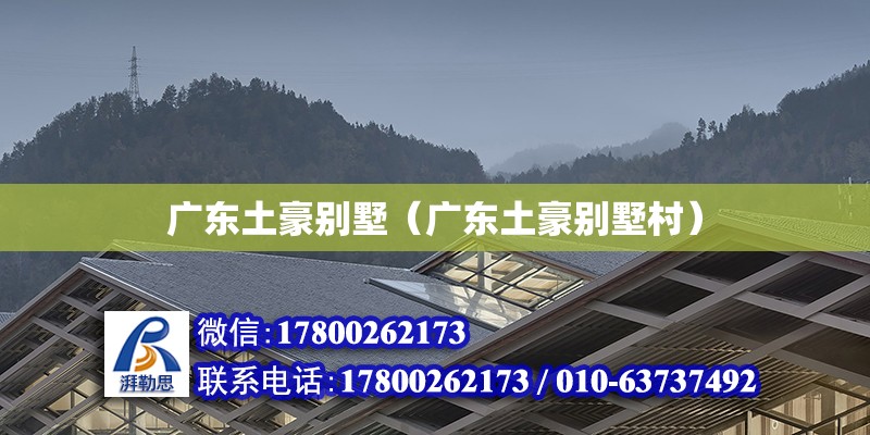 廣東土豪別墅（廣東土豪別墅村） 鋼結(jié)構(gòu)網(wǎng)架設(shè)計