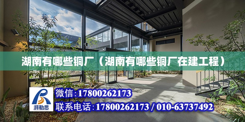 湖南有哪些銅廠（湖南有哪些銅廠在建工程） 鋼結(jié)構(gòu)網(wǎng)架設(shè)計(jì)