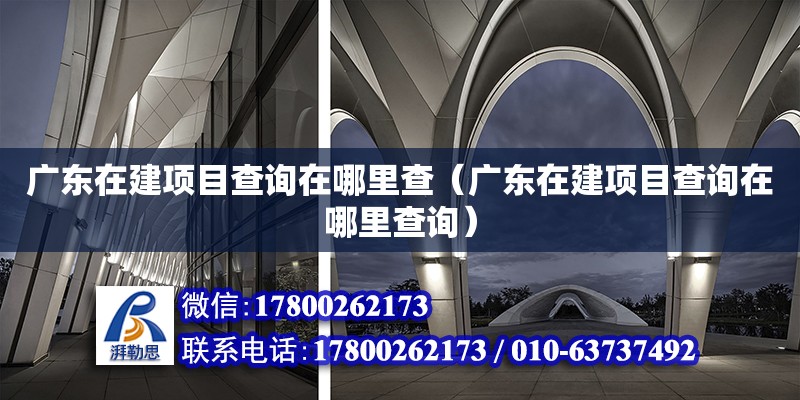 廣東在建項目查詢在哪里查（廣東在建項目查詢在哪里查詢） 鋼結(jié)構(gòu)網(wǎng)架設(shè)計