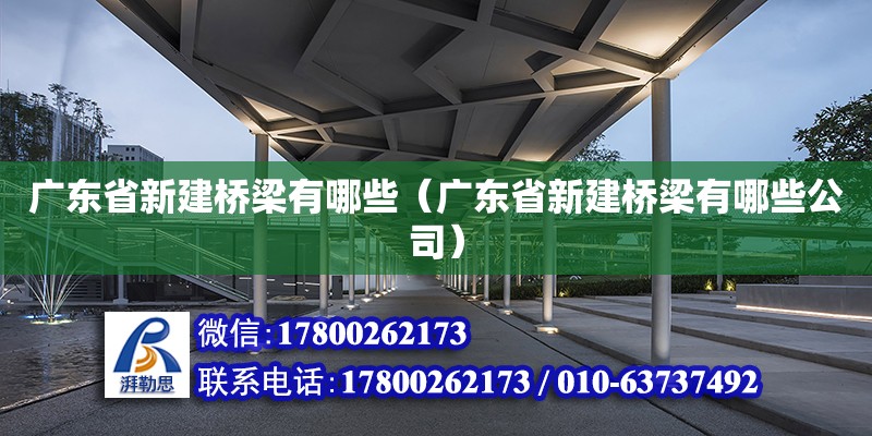 廣東省新建橋梁有哪些（廣東省新建橋梁有哪些公司） 鋼結(jié)構(gòu)網(wǎng)架設(shè)計