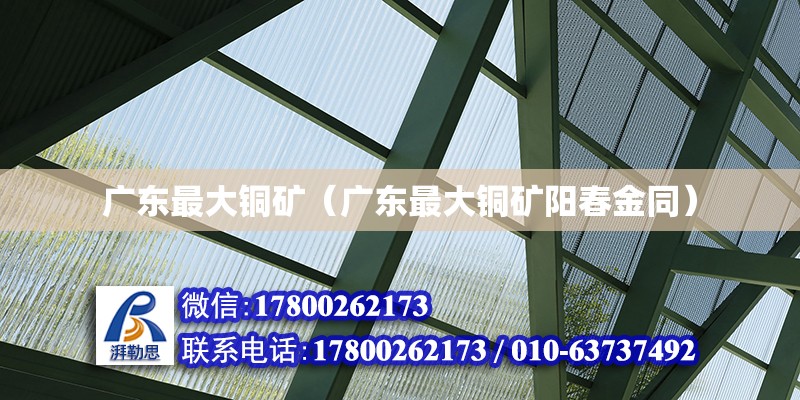 廣東最大銅礦（廣東最大銅礦陽春金同） 鋼結(jié)構(gòu)網(wǎng)架設(shè)計(jì)