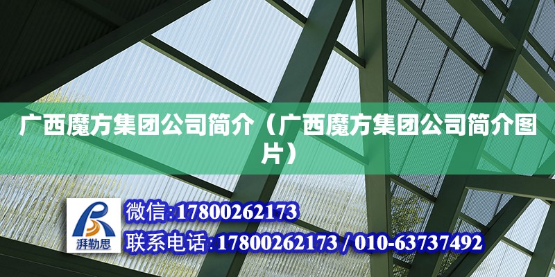 廣西魔方集團公司簡介（廣西魔方集團公司簡介圖片） 鋼結(jié)構(gòu)網(wǎng)架設(shè)計