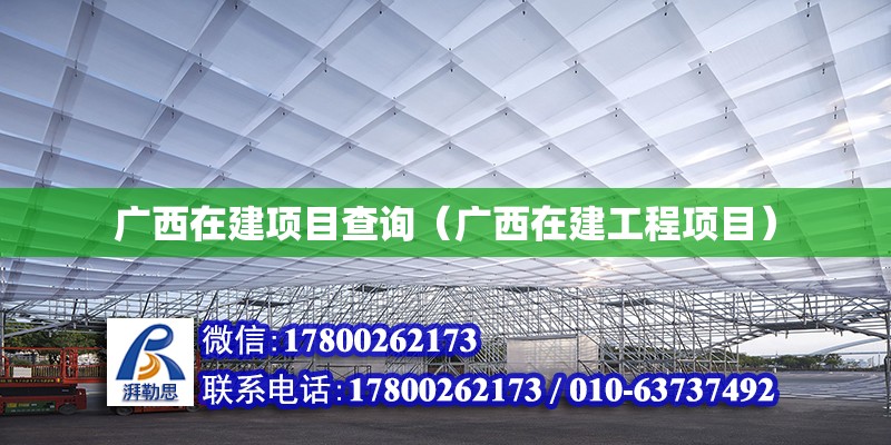 廣西在建項目查詢（廣西在建工程項目） 鋼結(jié)構(gòu)網(wǎng)架設(shè)計