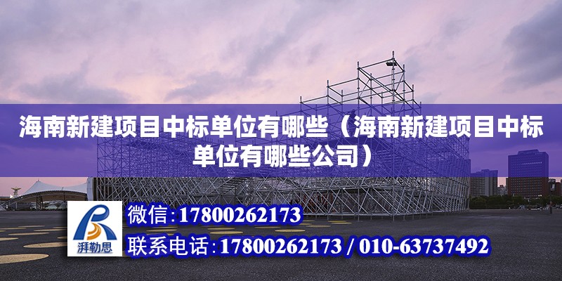 海南新建項目中標單位有哪些（海南新建項目中標單位有哪些公司）