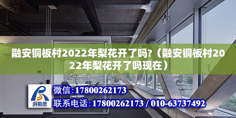 融安銅板村2022年梨花開了嗎?（融安銅板村2022年梨花開了嗎現(xiàn)在）