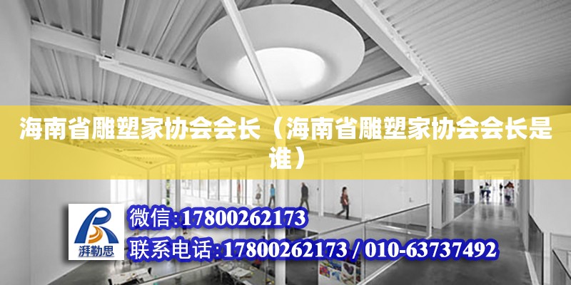 海南省雕塑家協(xié)會(huì)會(huì)長(zhǎng)（海南省雕塑家協(xié)會(huì)會(huì)長(zhǎng)是誰(shuí)）