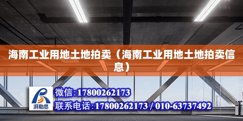 海南工業(yè)用地土地拍賣（海南工業(yè)用地土地拍賣信息）