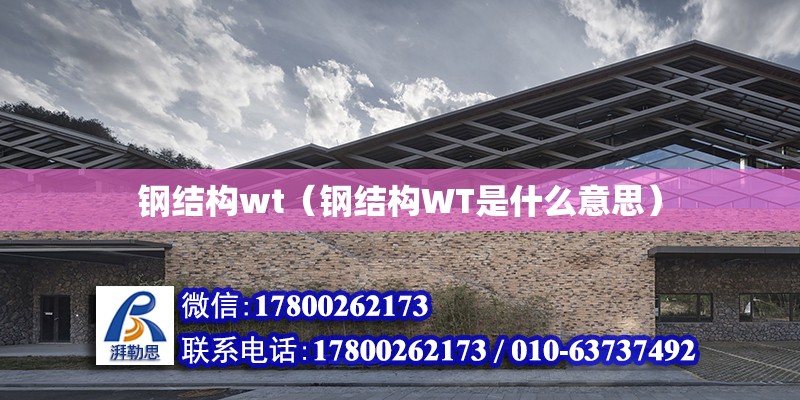 鋼結構wt（鋼結構WT是什么意思） 結構電力行業(yè)施工