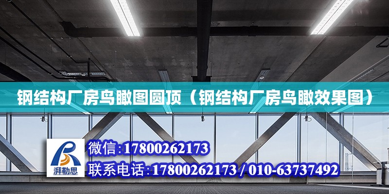 鋼結(jié)構(gòu)廠房鳥瞰圖圓頂（鋼結(jié)構(gòu)廠房鳥瞰效果圖） 北京網(wǎng)架設(shè)計(jì)