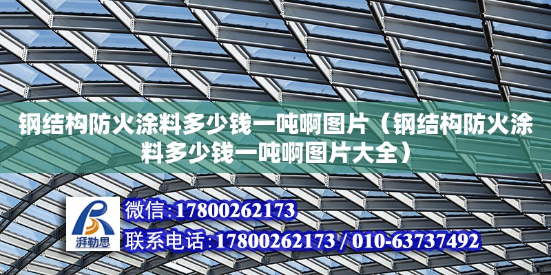 鋼結(jié)構(gòu)防火涂料多少錢一噸啊圖片（鋼結(jié)構(gòu)防火涂料多少錢一噸啊圖片大全） 鋼結(jié)構(gòu)異形設(shè)計