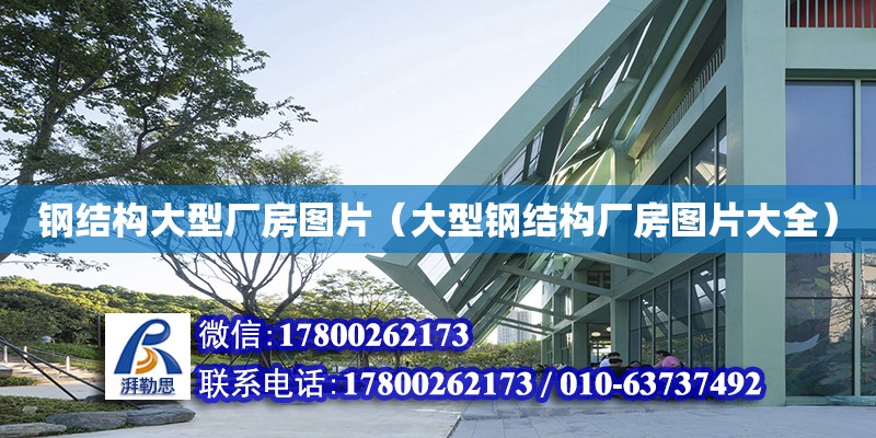 鋼結構大型廠房圖片（大型鋼結構廠房圖片大全） 全國鋼結構廠