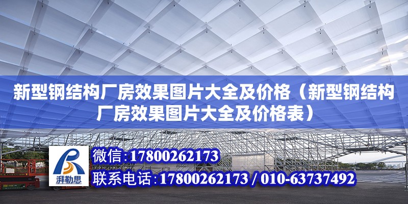 新型鋼結(jié)構(gòu)廠房效果圖片大全及價格（新型鋼結(jié)構(gòu)廠房效果圖片大全及價格表）