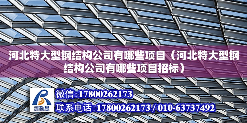 河北特大型鋼結(jié)構(gòu)公司有哪些項(xiàng)目（河北特大型鋼結(jié)構(gòu)公司有哪些項(xiàng)目招標(biāo)）