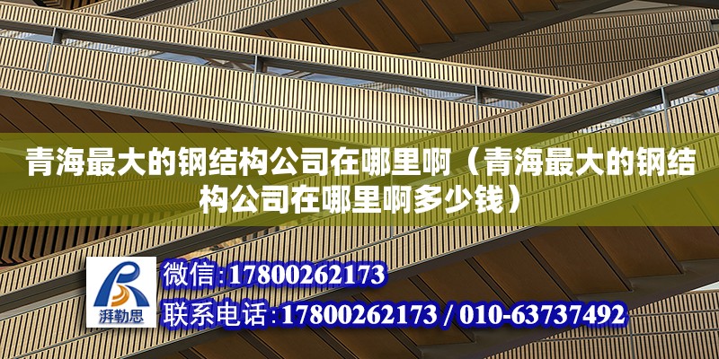 青海最大的鋼結(jié)構(gòu)公司在哪里?。ㄇ嗪Ｗ畲蟮匿摻Y(jié)構(gòu)公司在哪里啊多少錢） 結(jié)構(gòu)橋梁鋼結(jié)構(gòu)設(shè)計(jì)