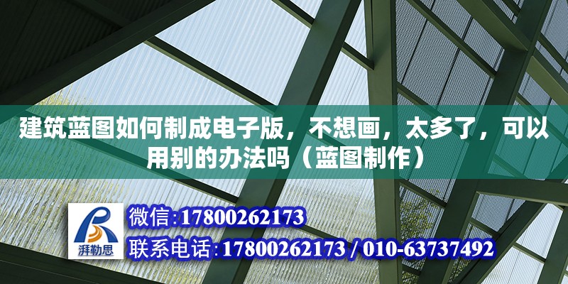 建筑藍(lán)圖如何制成電子版，不想畫(huà)，太多了，可以用別的辦法嗎（藍(lán)圖制作）