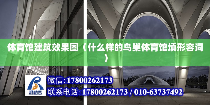 體育館建筑效果圖（什么樣的鳥(niǎo)巢體育館填形容詞）