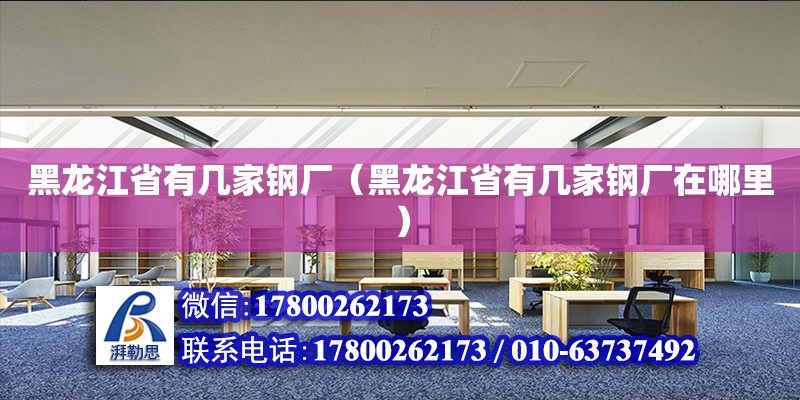 黑龍江省有幾家鋼廠（黑龍江省有幾家鋼廠在哪里） 北京加固設(shè)計(jì)（加固設(shè)計(jì)公司）