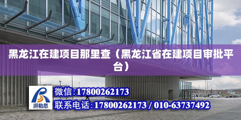 黑龍江在建項目那里查（黑龍江省在建項目審批平臺）