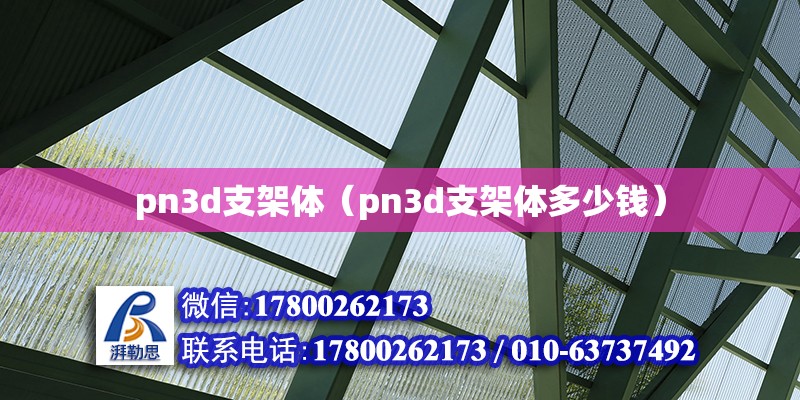 pn3d支架體（pn3d支架體多少錢(qián)） 北京加固設(shè)計(jì)（加固設(shè)計(jì)公司）