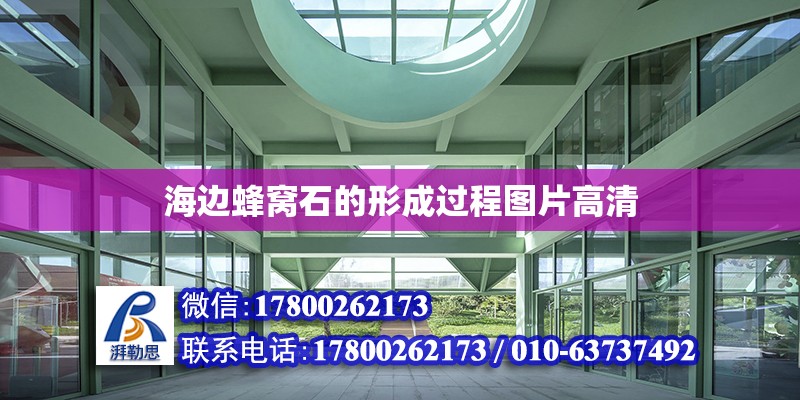 海邊蜂窩石的形成過程圖片高清 北京加固設計（加固設計公司）