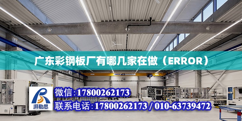 廣東彩鋼板廠有哪幾家在做（ERROR） 鋼結(jié)構(gòu)網(wǎng)架設(shè)計