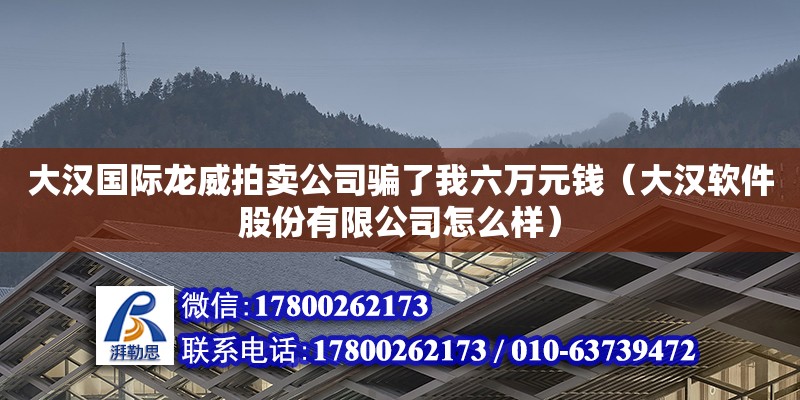 大漢國際龍威拍賣公司騙了我六萬元錢（大漢軟件股份有限公司怎么樣） 鋼結(jié)構(gòu)網(wǎng)架設(shè)計(jì)