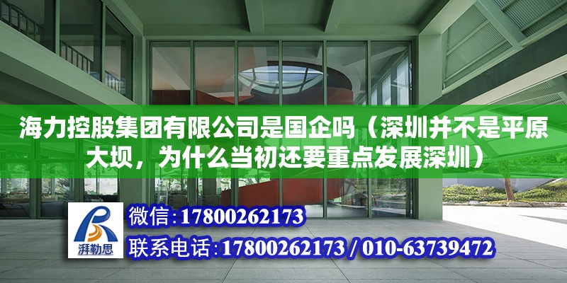 海力控股集團有限公司是國企嗎（深圳并不是平原大壩，為什么當初還要重點發(fā)展深圳） 鋼結構網架設計