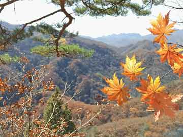 碳纖維研究生（碳纖維研究生就業(yè)前景）