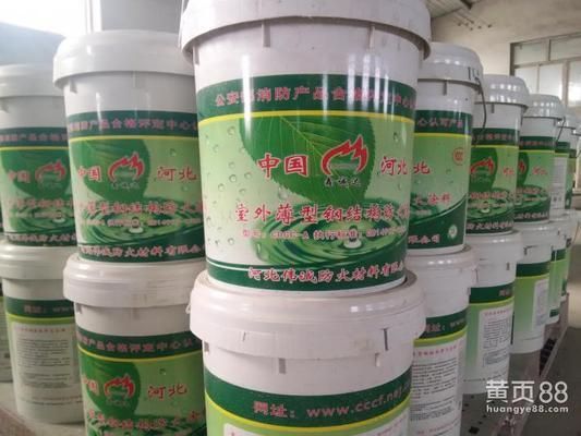 鋼結(jié)構(gòu)防火涂料規(guī)范最新版（鋼結(jié)構(gòu)防火涂料應(yīng)用技術(shù)規(guī)范）