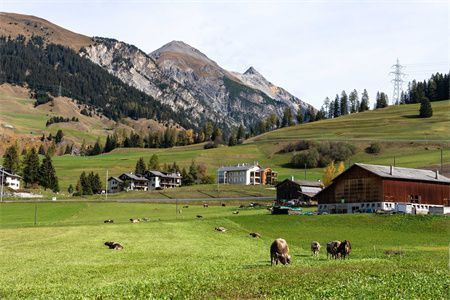 民用鋼結構住宅（鋼結構住宅的市場前景如何？）